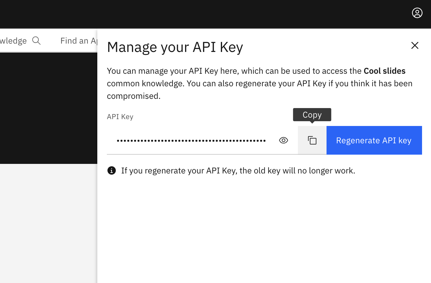 copy api key